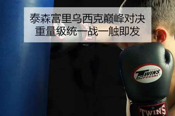 泰森富里乌西克巅峰对决 重量级统一战一触即发