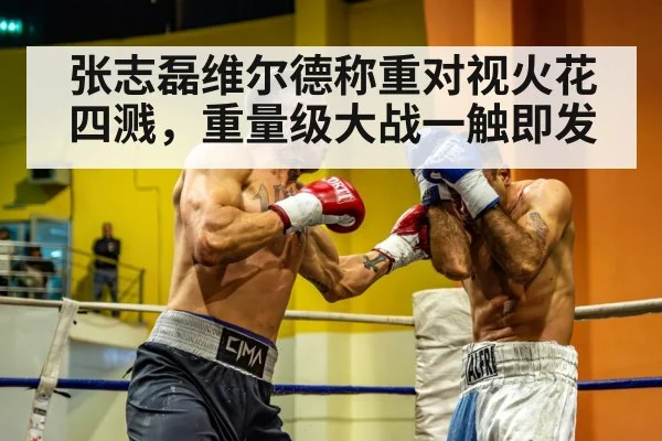 张志磊维尔德称重对视火花四溅，重量级大战一触即发